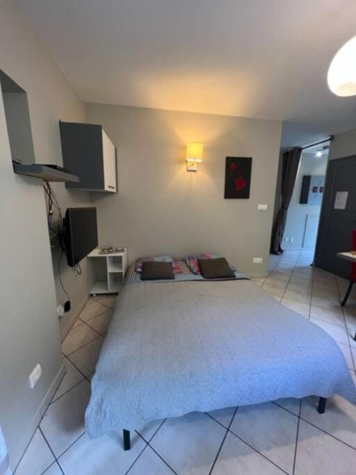 Le Fsi .Confort*Wifi*Parking*Ski - Cure Thermale-Les Lodges De Sandrine La Lechere Exterior photo